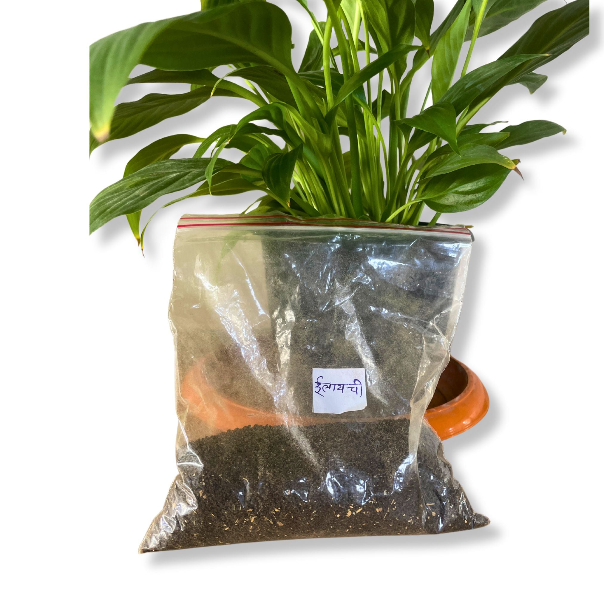 Tea-Powder, Cardamom (Elaichi) Natural Flavoured