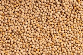 Premium grade Harbara made from desi harbara PKG 1402,Sakhi